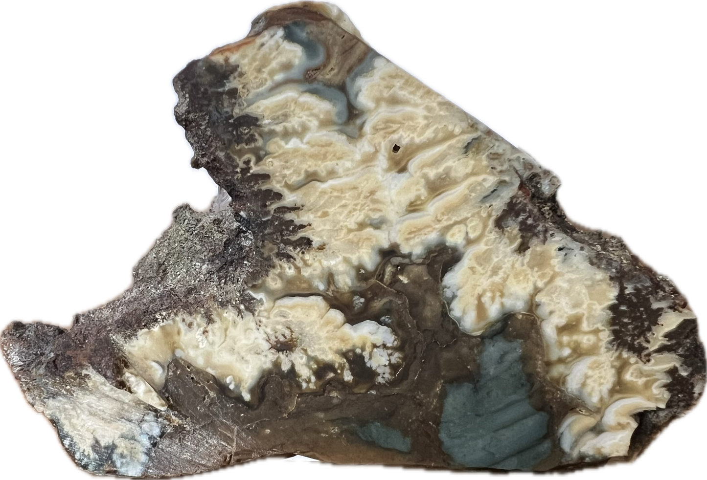 blu-jsp-002 Owyhee Blue Jasper