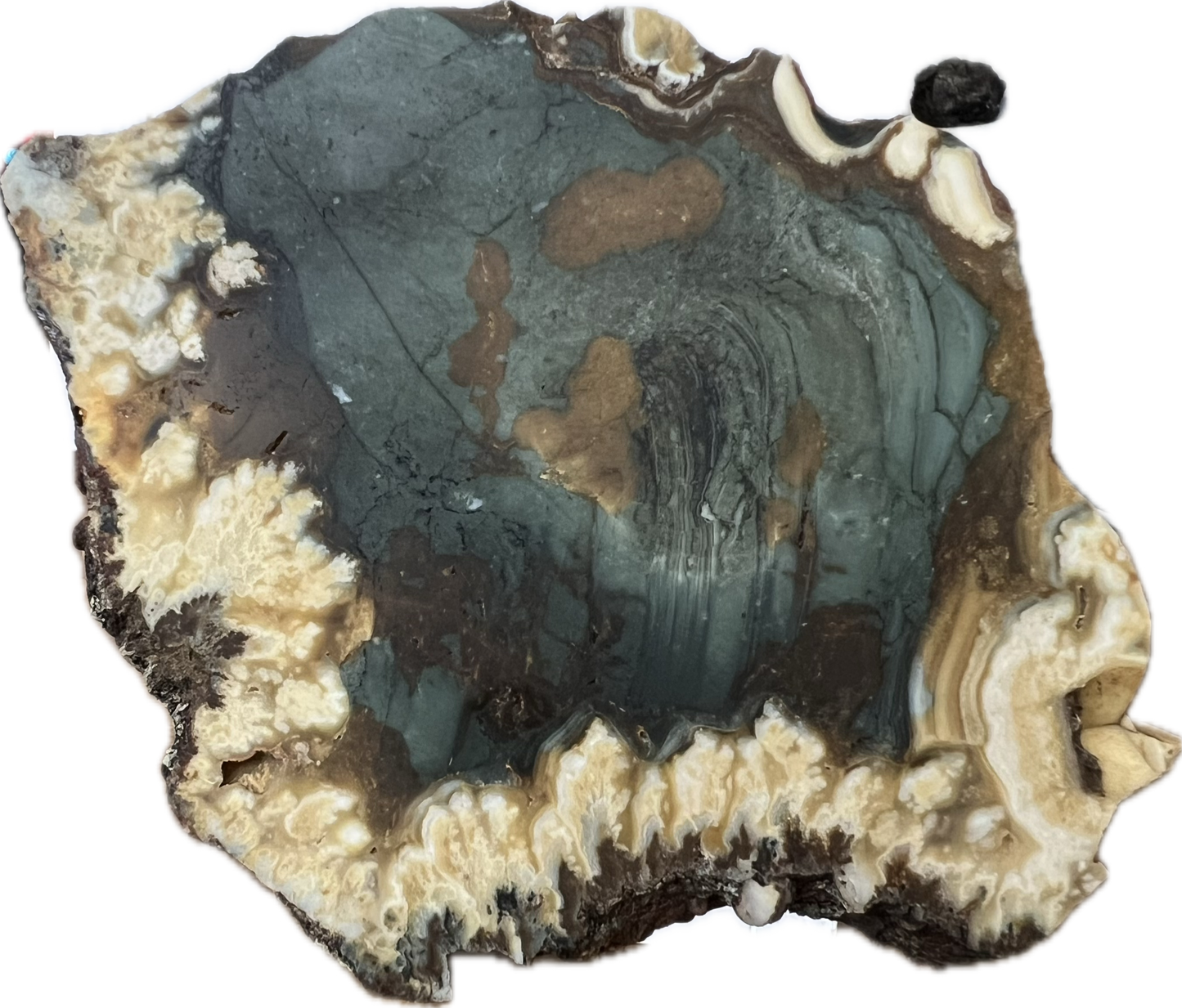 blu-jsp-004 Owyhee Blue Jasper