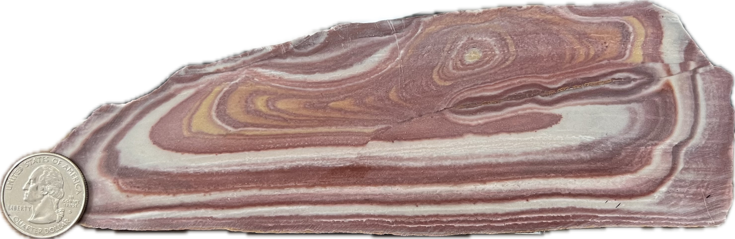 wnd-nv-013 Nevada Wonderstone Slab