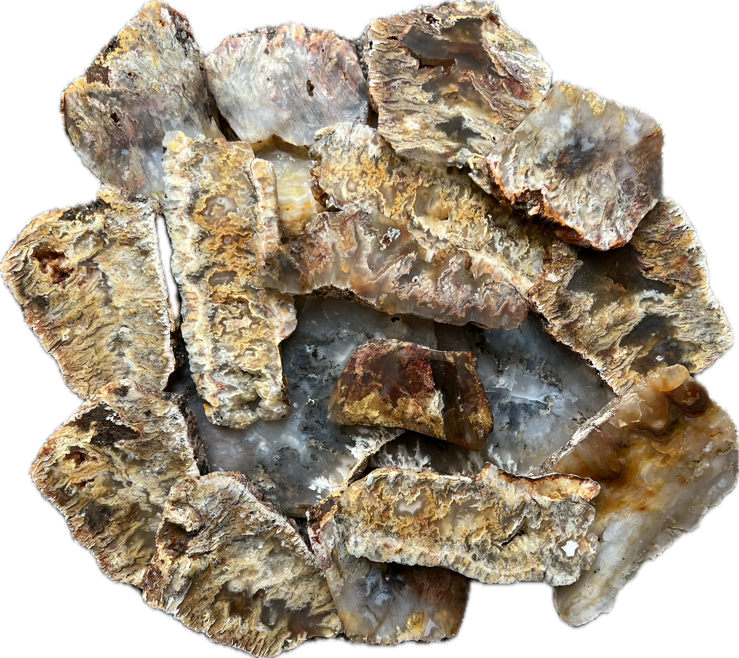 Plume Agate