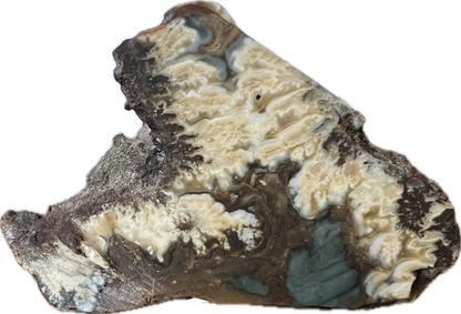 blu-jsp-002 Owyhee Blue Jasper