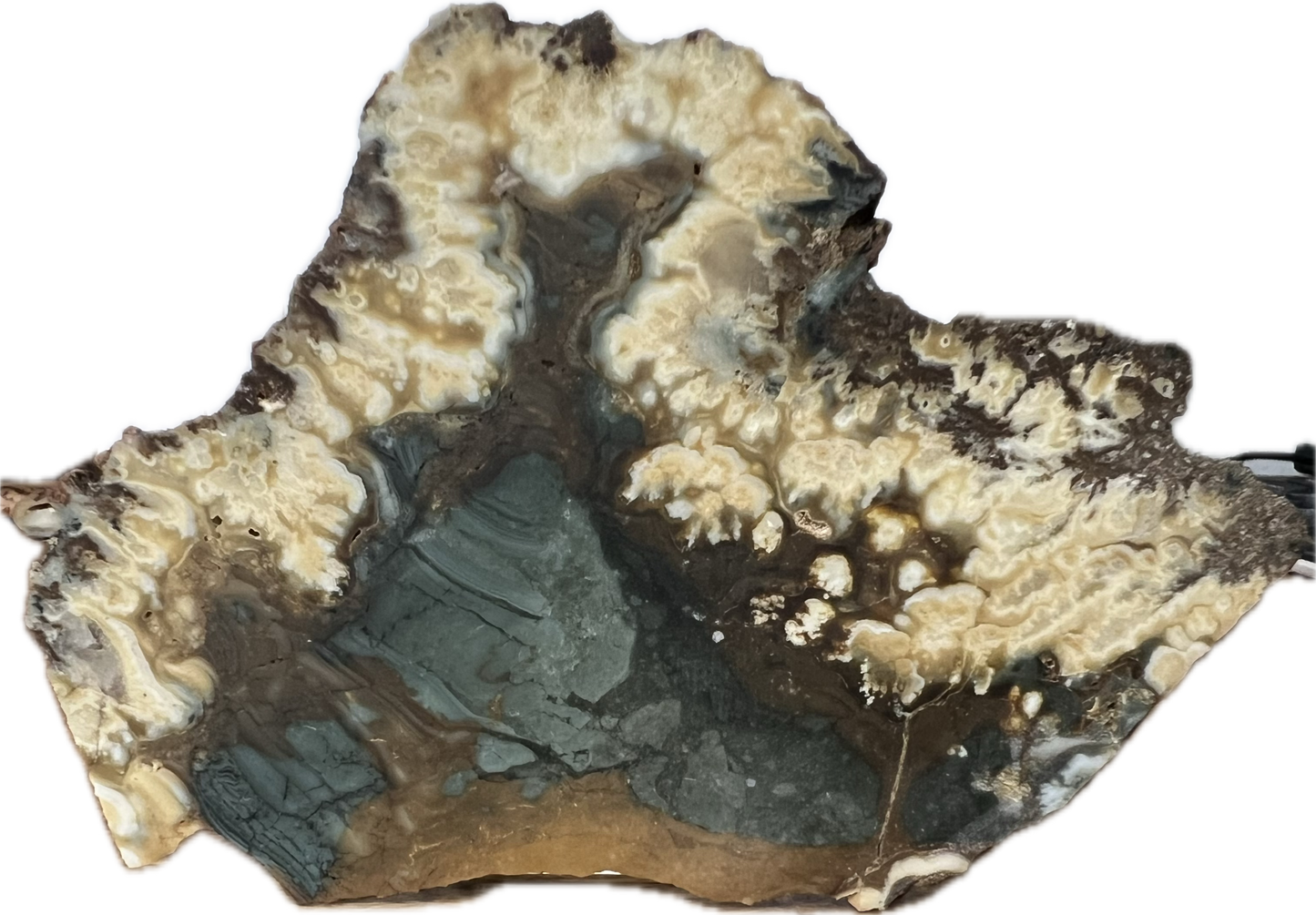 blu-jsp-003 Owyhee Blue Jasper