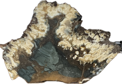 blu-jsp-003 Owyhee Blue Jasper