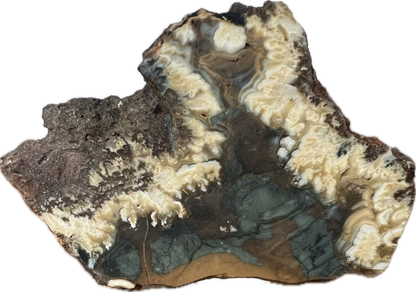 blu-jsp-003 Owyhee Blue Jasper