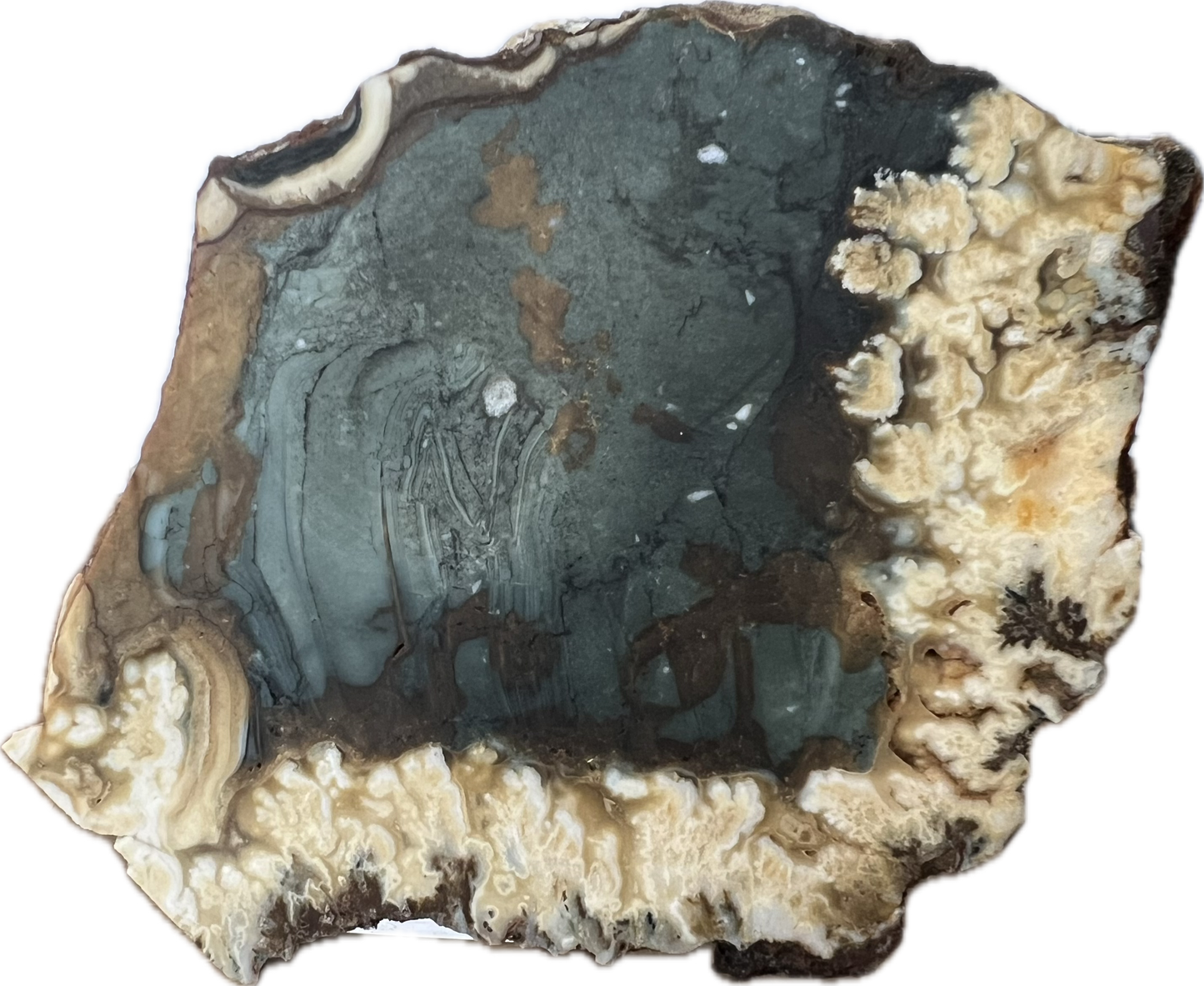 blu-jsp-004 Owyhee Blue Jasper