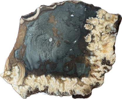 blu-jsp-004 Owyhee Blue Jasper