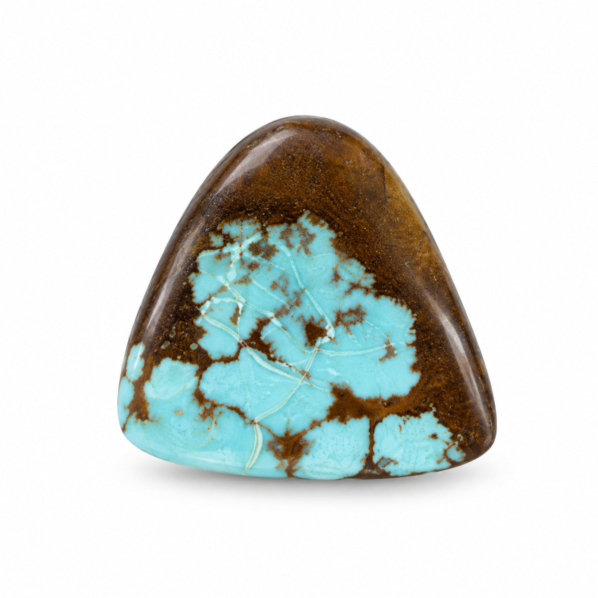 C15 Royston Turquoise Montezuma Mine Cabochon on a white studio background
