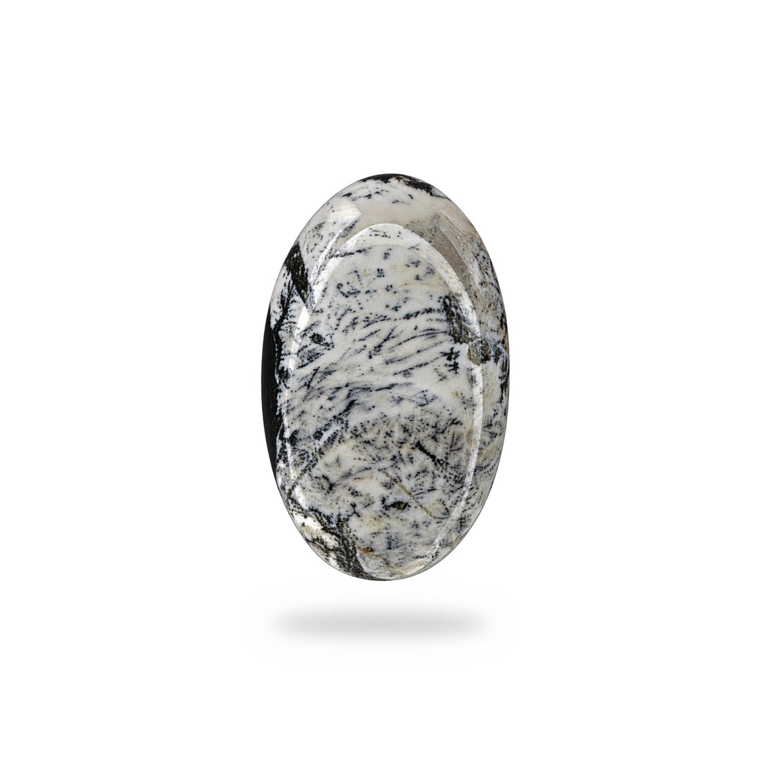 E9 White Buffalo Cabochon