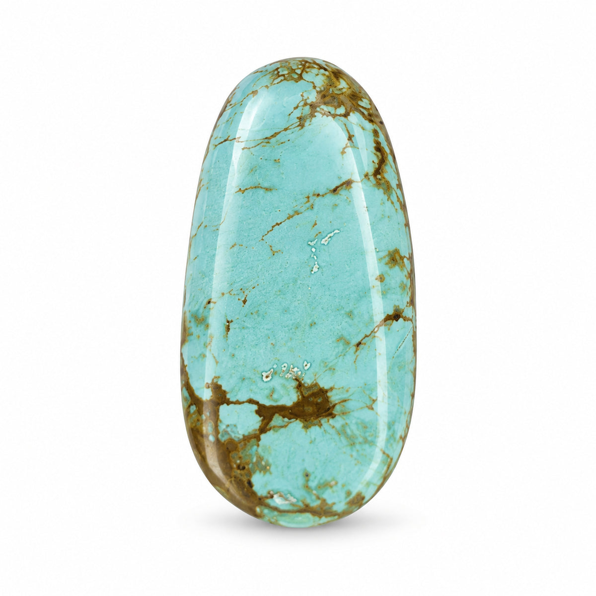 F8 Royston Turquoise Montezuma Mine Cabochon on a white studio background
