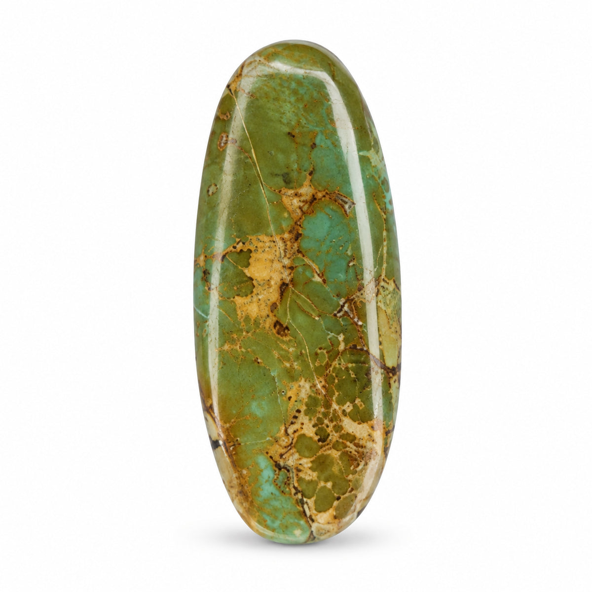 G15 Royston Turquoise Cabochon on a white studio background