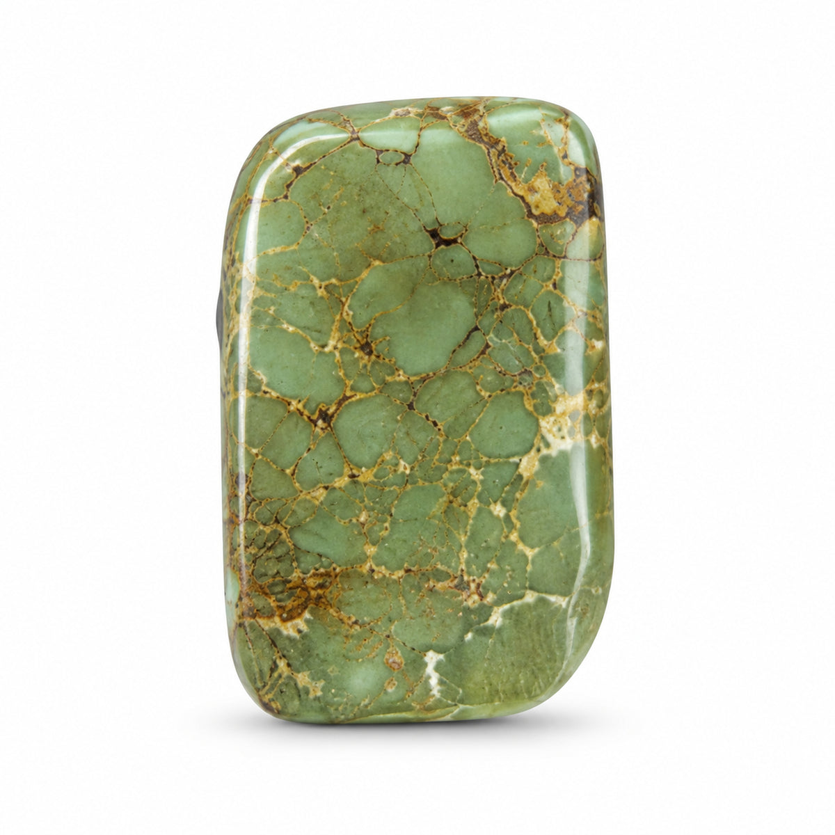 G3 Royston Turquoise Cabochon on a white studio background
