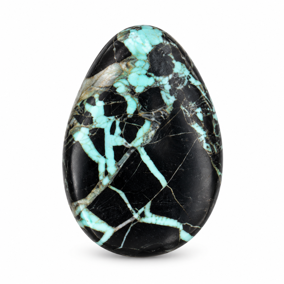 H19.0 Black Jack Turquoise cabochon, September 24, 2026
