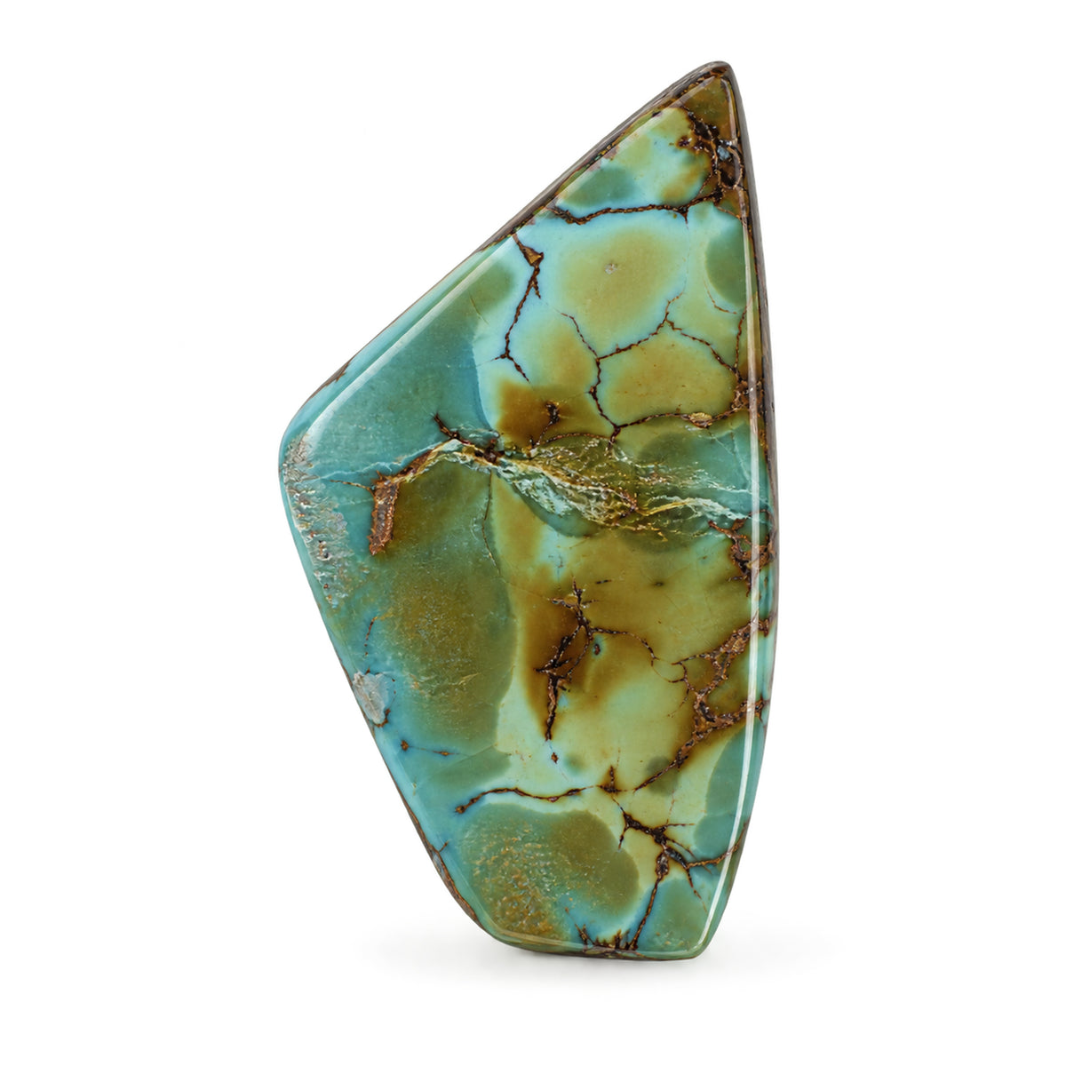 J14 Royston Turquoise Cabochon on a white studio background