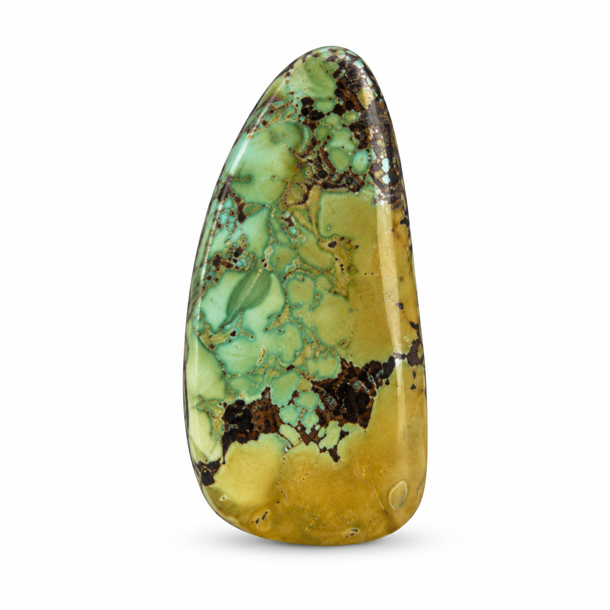 J1 Royston Turquoise Cabochon on a white studio background