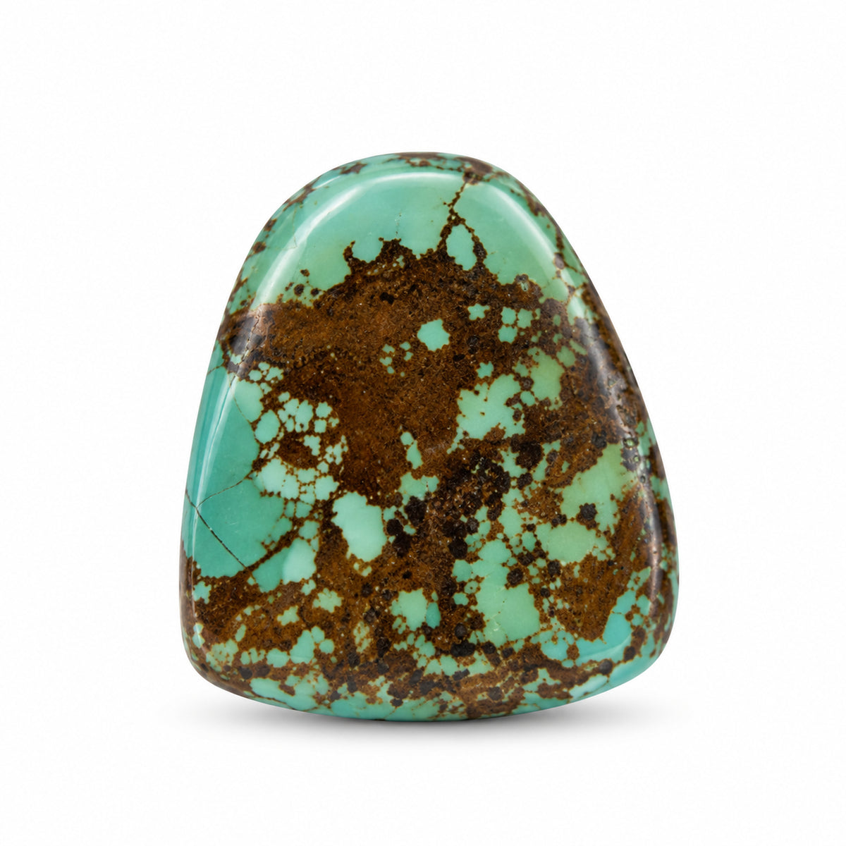 J9 Royston Turquoise Cabochon on a white studio background