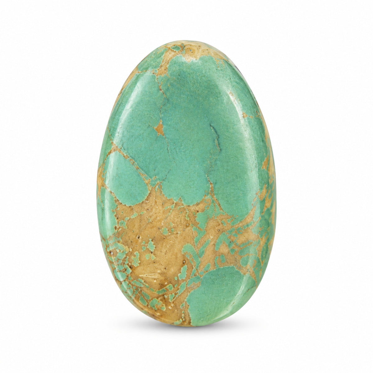 K9 Royston Turquoise Cabochon on a white studio background
