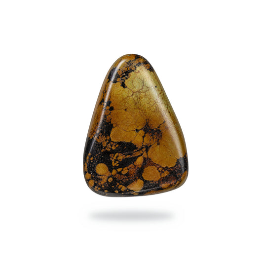 M9 Black Jack Turquoise Cabochon
