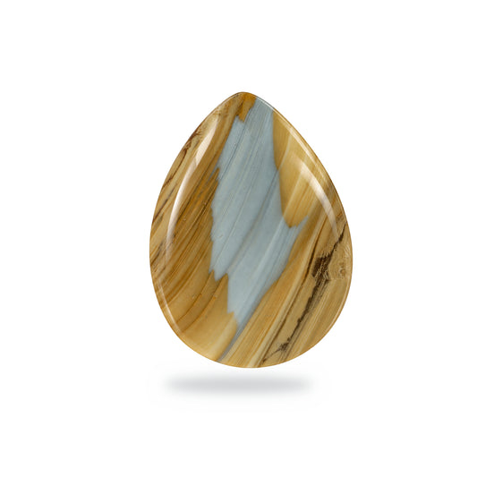 N12 Owyhee Blue Jasper Cabochon