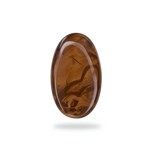 N14 Willow Creek Jasper Cabochon