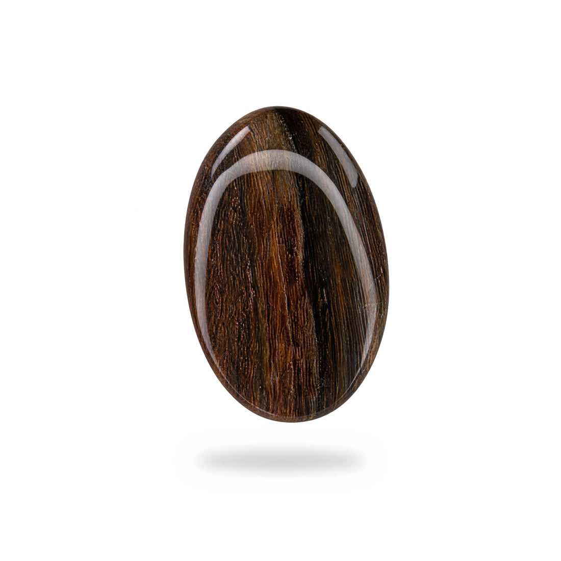 O7 Petrified Wood Cabochon