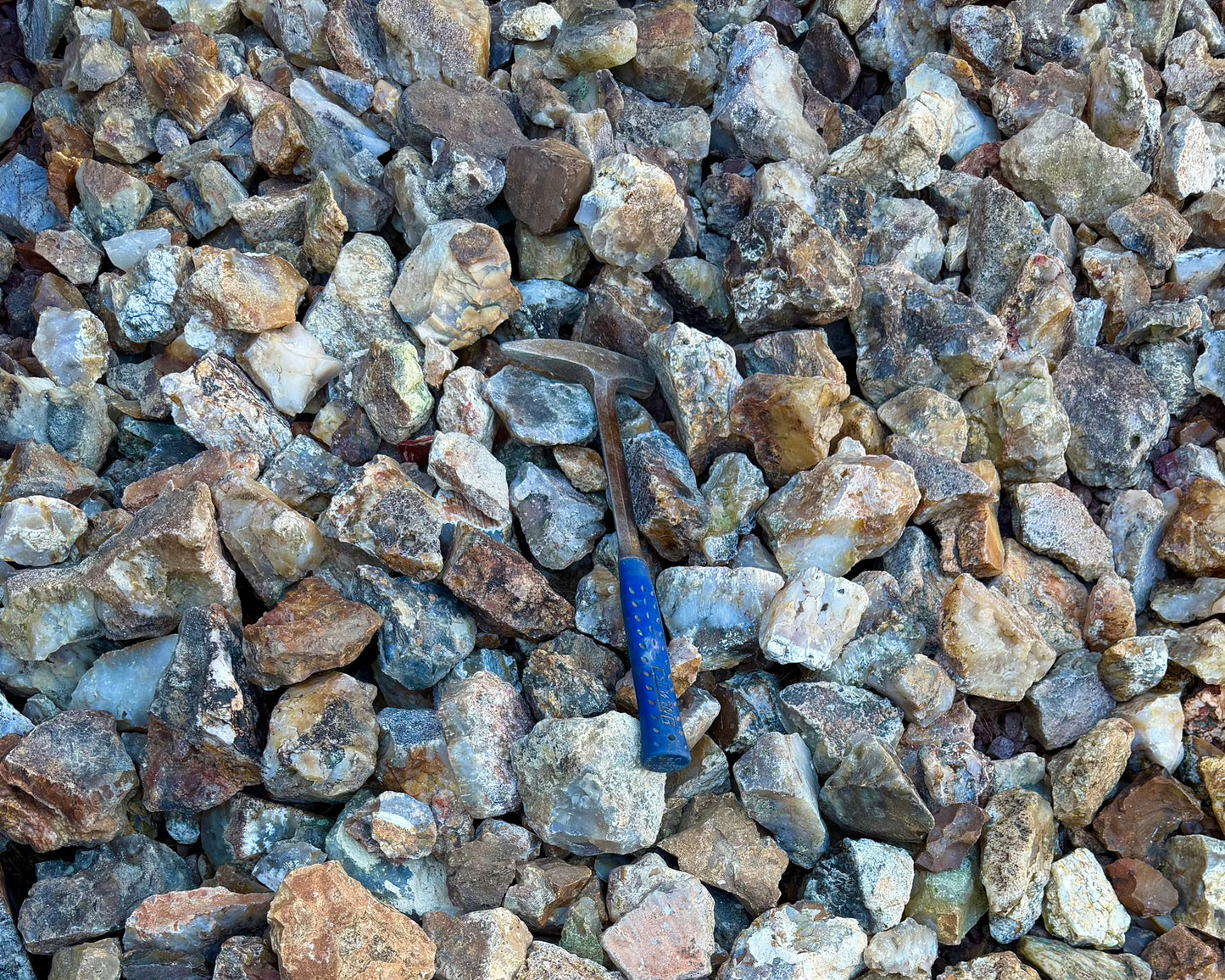 Aunt-Esther-PlumeAgate