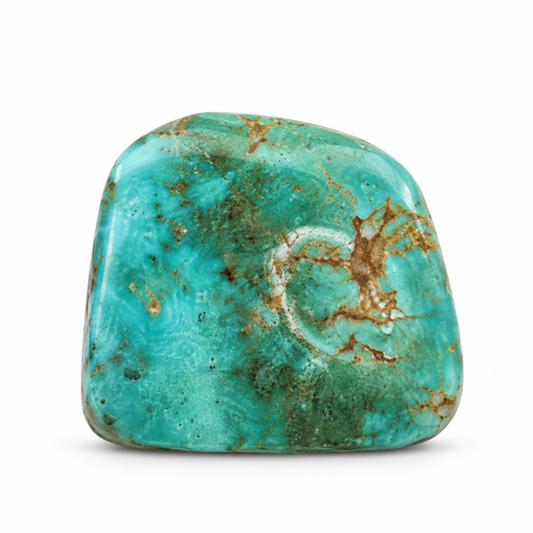 A15.0 Royston Turquoise cabochon, studio image, September 24, 2026