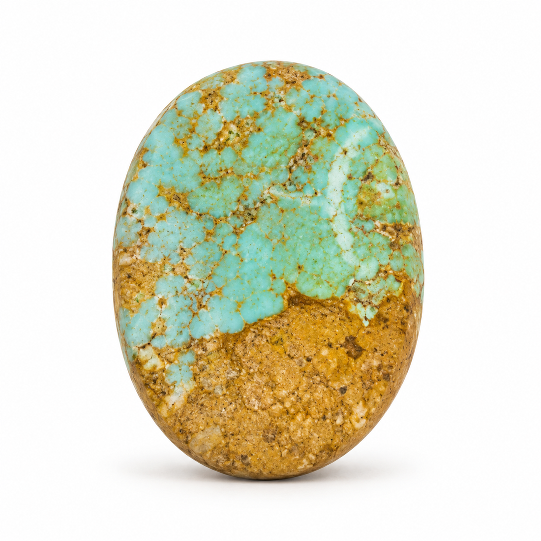 Royston Turquoise cabochon F10.0, batch September 24, 2026, front view