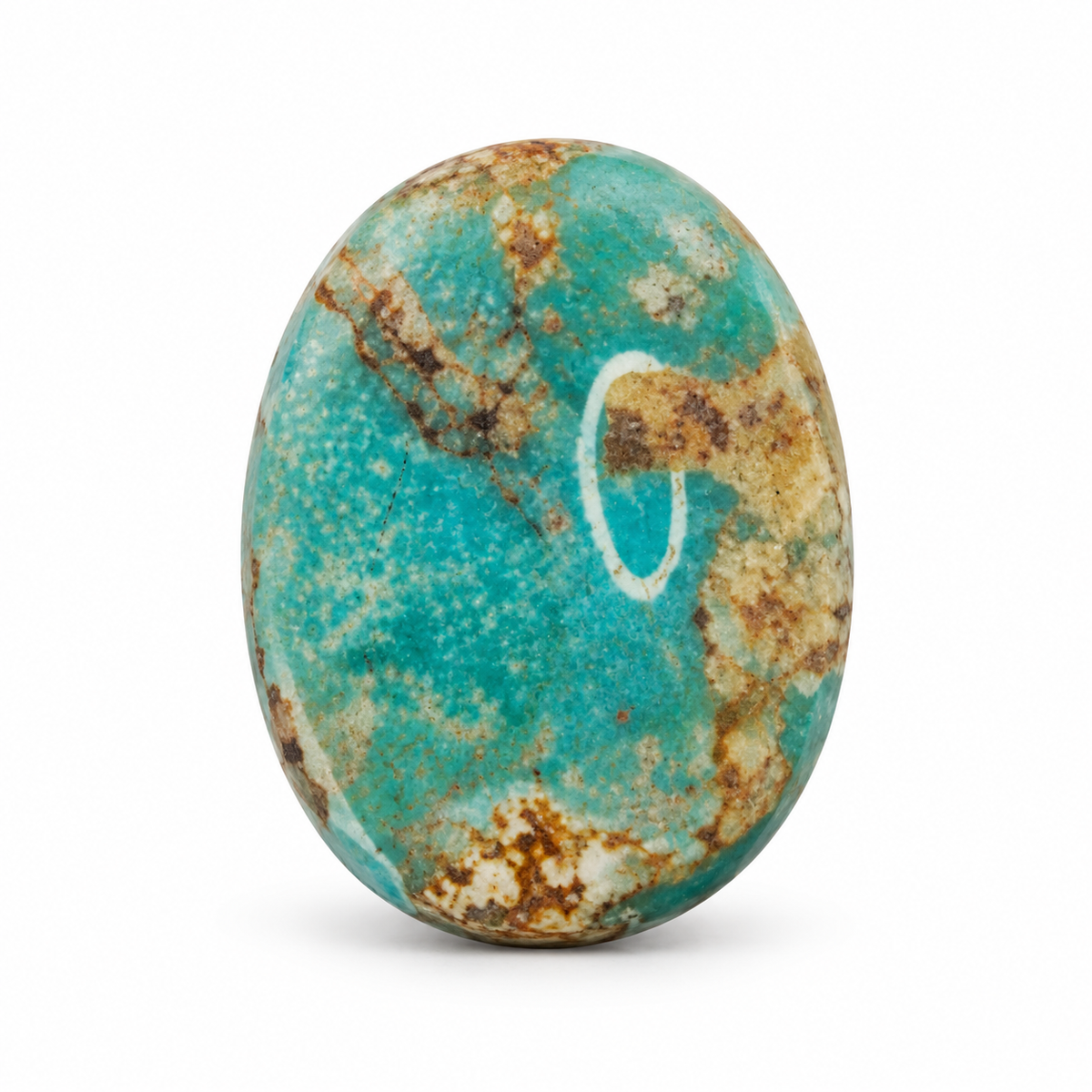 Royston Turquoise cabochon F8.0, batch September 24, 2026, front view