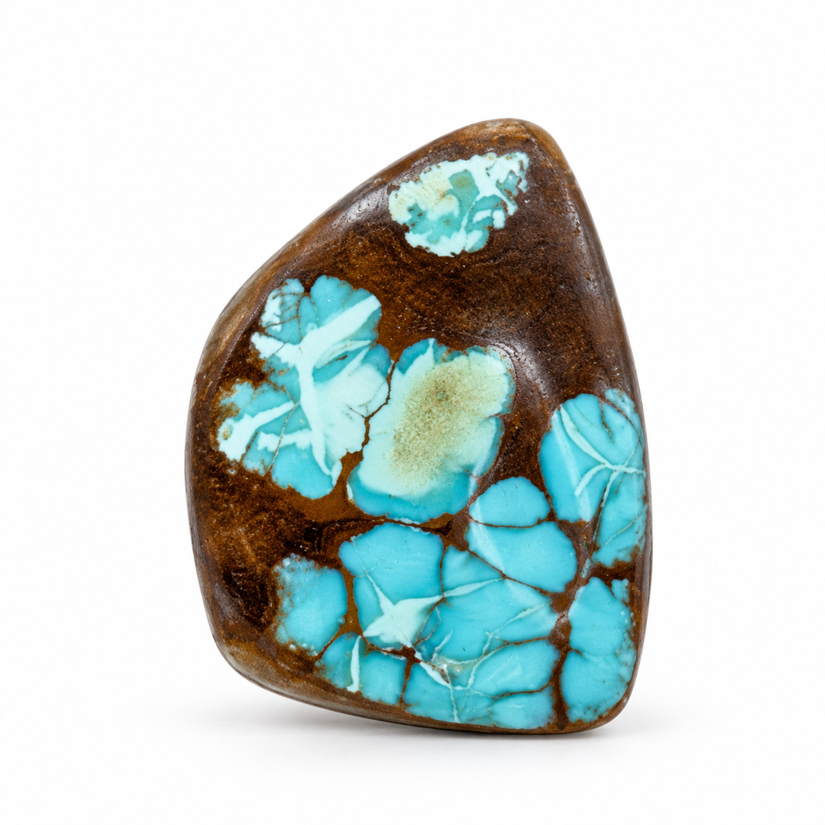 I11.0 Royston Turquoise cabochon, studio image, September 24, 2026