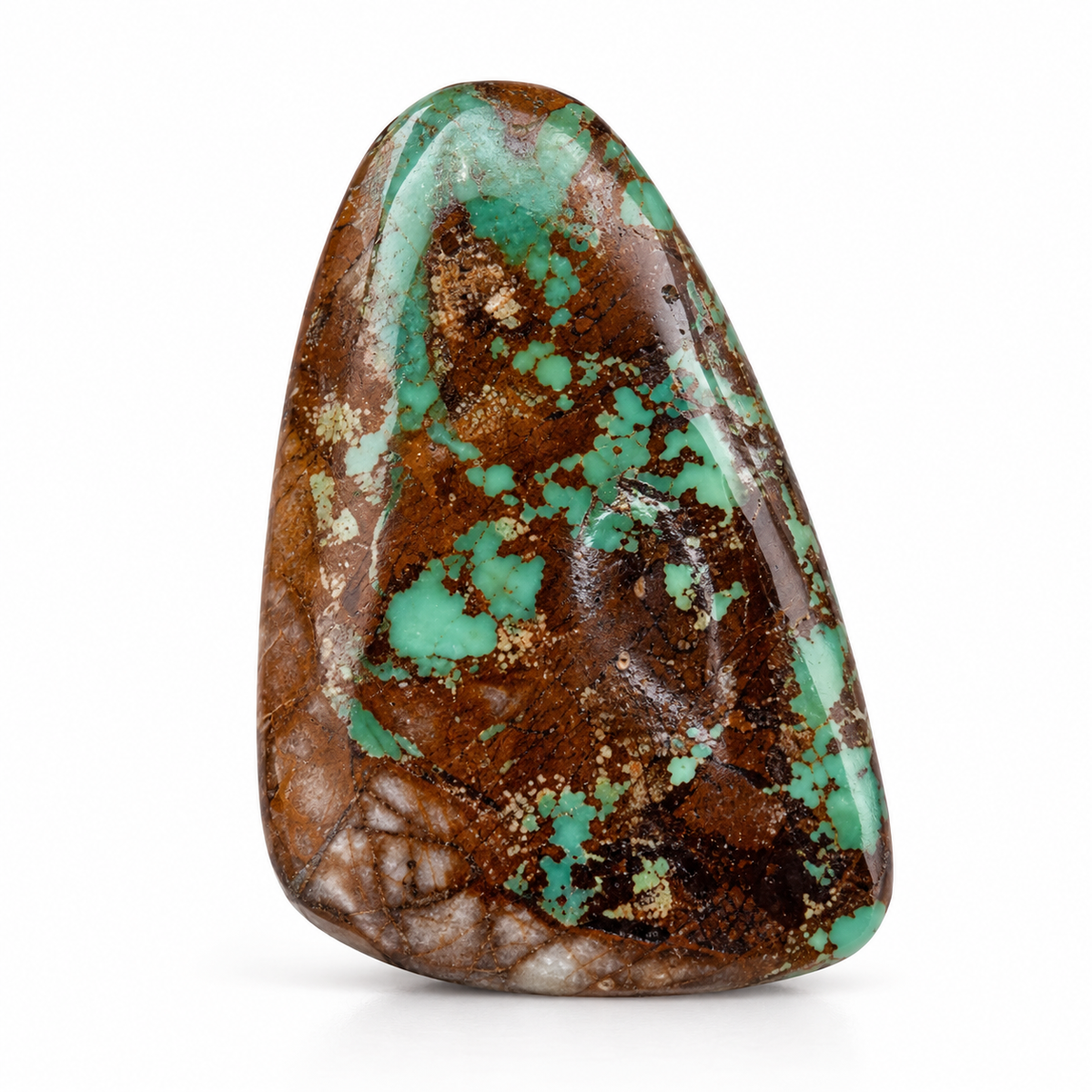 I5.0 Royston Turquoise cabochon, studio image, September 24, 2026