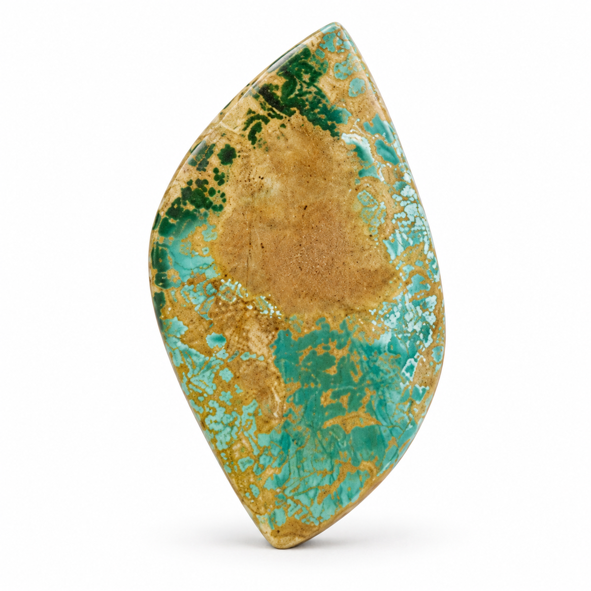 J14.0 Royston Turquoise cabochon, studio image, September 24, 2026