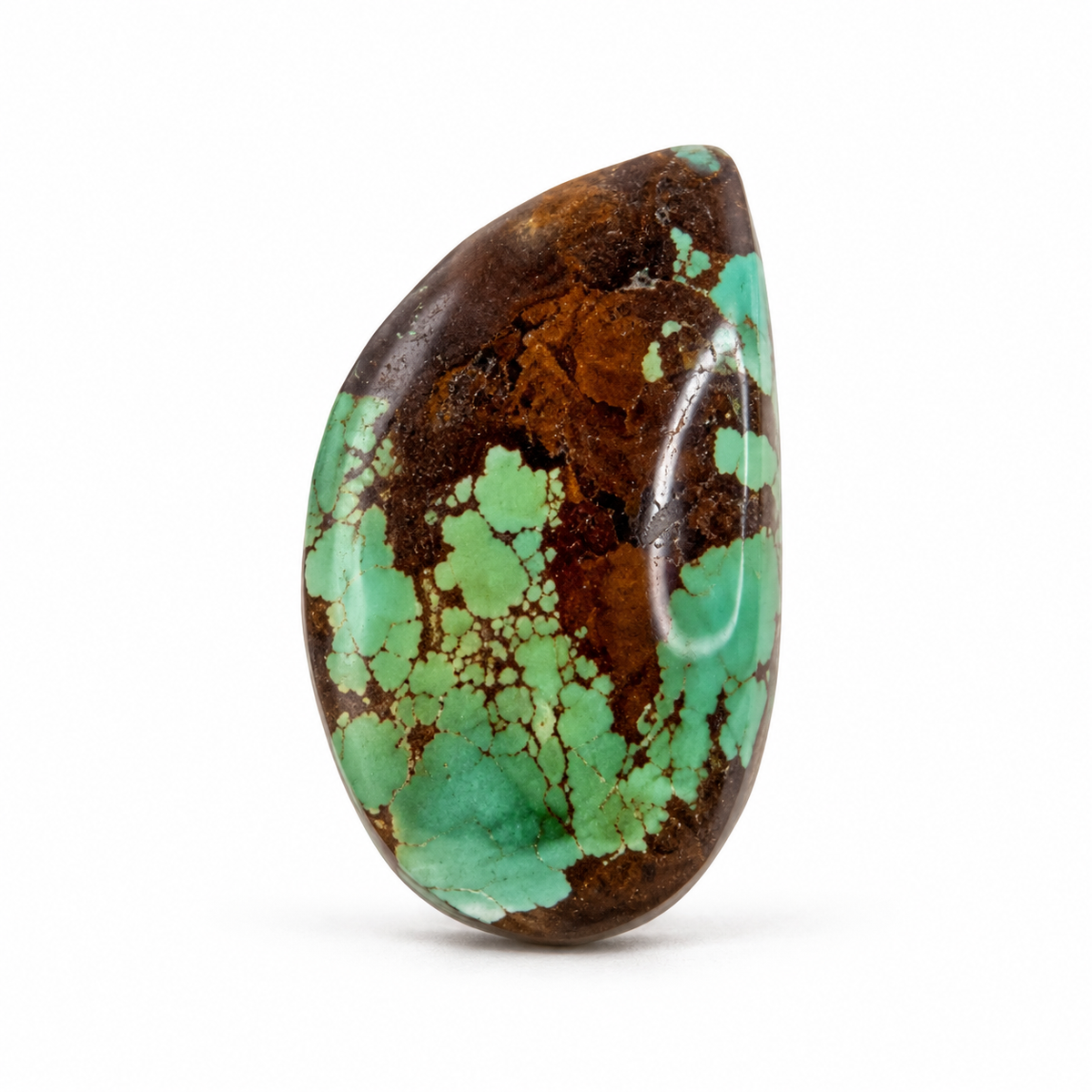 J5.0 Royston Turquoise cabochon, studio image, September 24, 2026