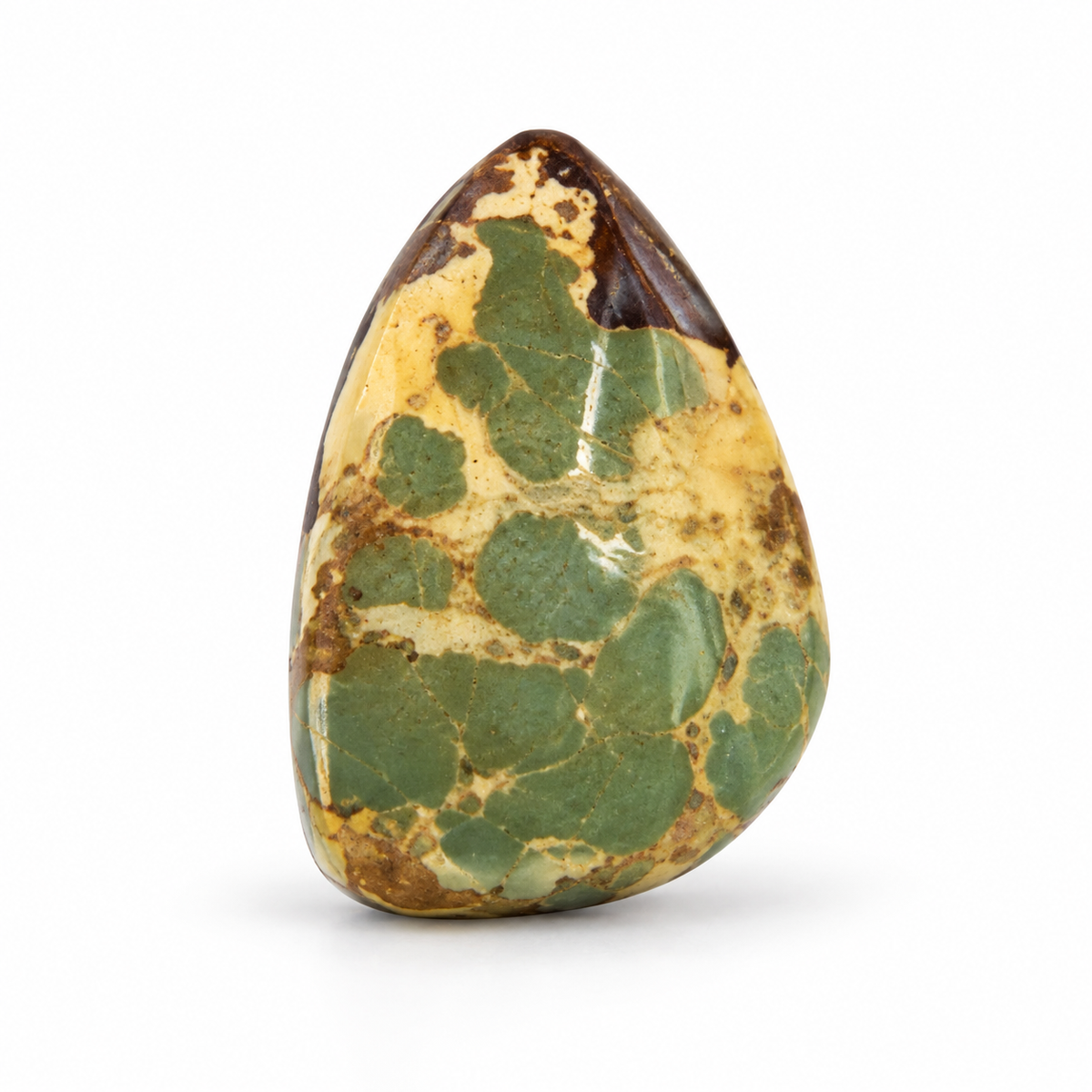 J8.0 Royston Turquoise cabochon, studio image, September 24, 2026
