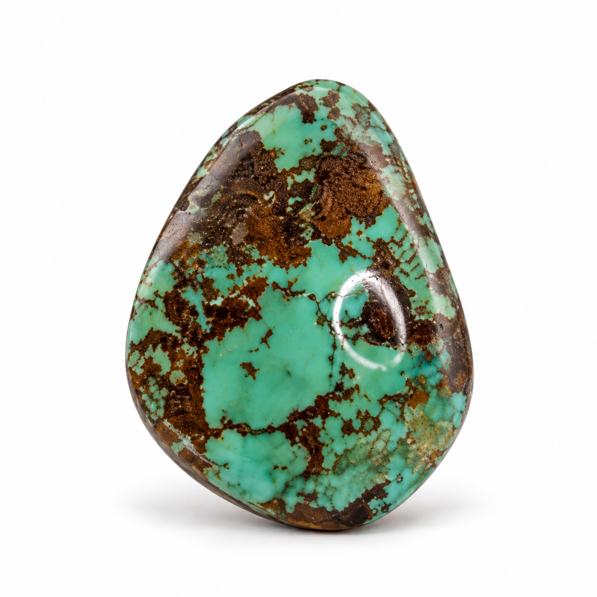 J9.0 Royston Turquoise cabochon, studio image, September 24, 2026