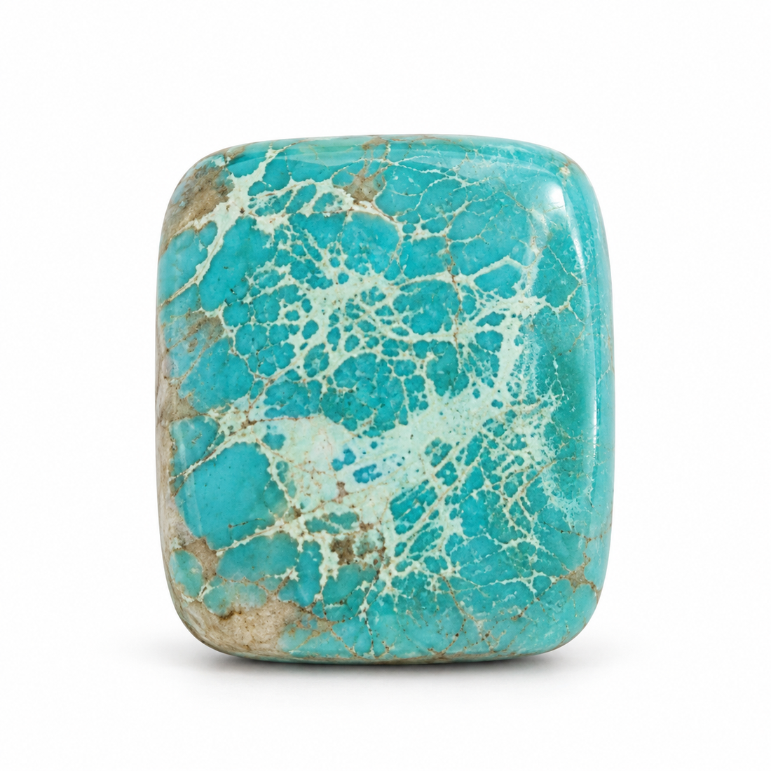 L4.0 Royston Turquoise cabochon, studio image, September 24, 2026