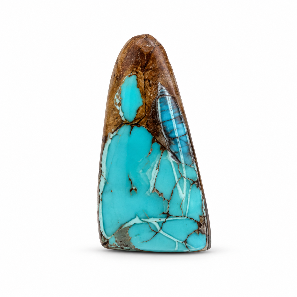 L6.0 Royston Turquoise cabochon, studio image, September 24, 2026